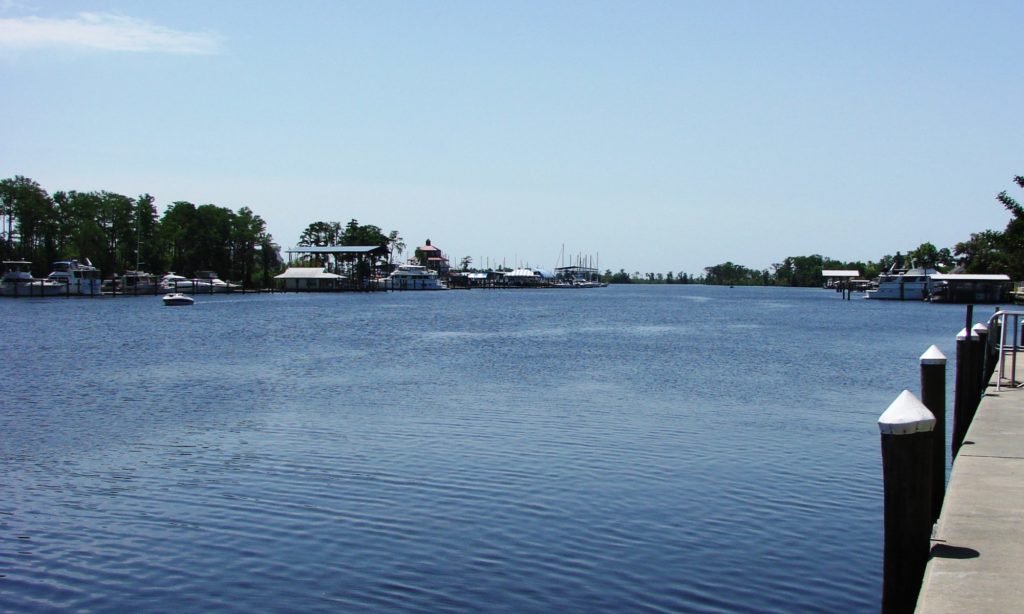 Certified Public Accountant Insurance Tax Expert